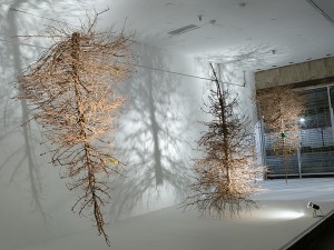 Greg Leshé (artist); Installation of Sympathetic Vortices,  2011; Copyright the artist; Image courtesy of the artist